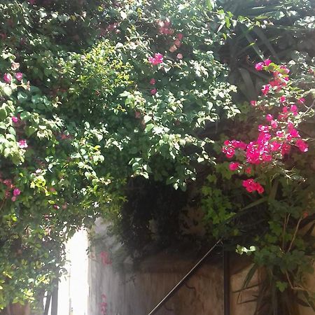 Antonella Home Brindisi Exterior photo