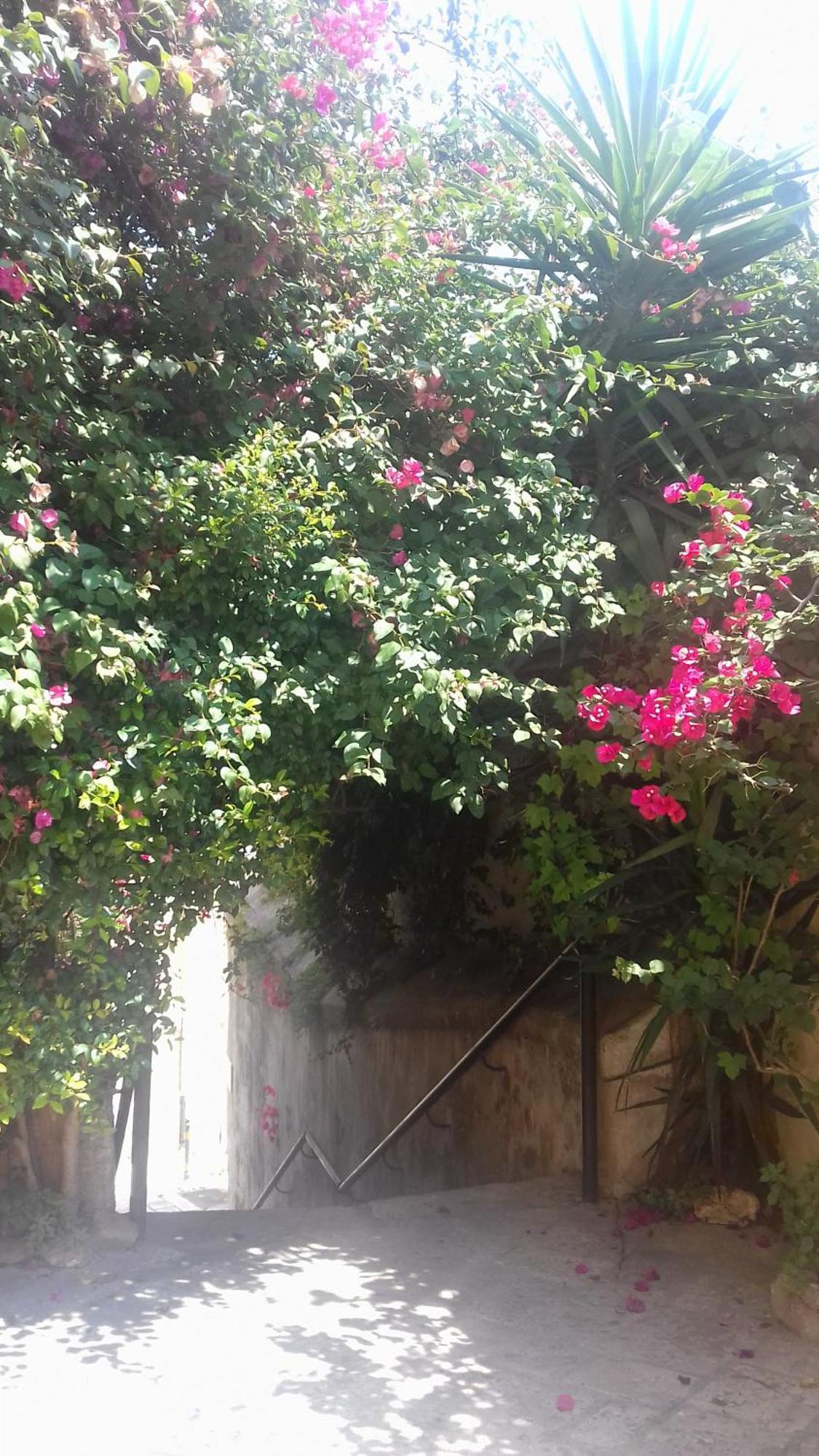 Antonella Home Brindisi Exterior photo